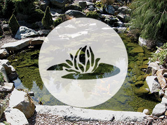 BLC_ServiceGrahpics_SmallExcavating