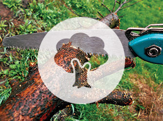 BLC_ServiceGrahpics_TreeTrimming